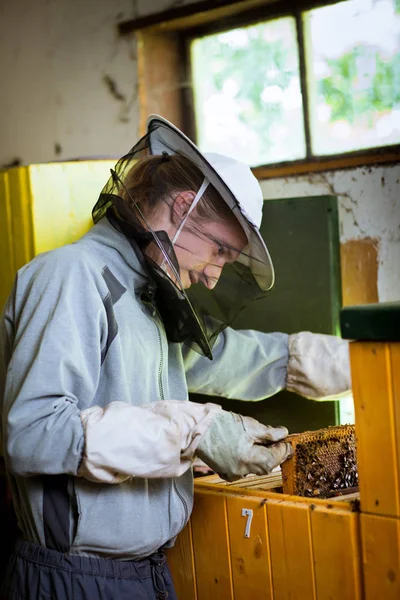 Beekeeper Work Honeycomb Honey Production — Stock Photo, Image