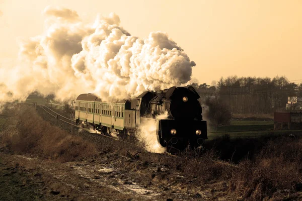 Train Vapeur Vintage Traversant Campagne Hiver — Photo