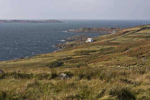 Paisaje Costero Norte Escocia Con Hierba Frente — Foto de Stock