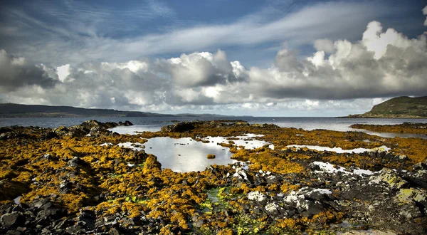 Vacker Utsikt Över Stranden — Stockfoto