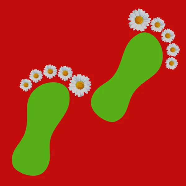 Groene Voetafdrukken Met Marguerites Als Kruidnagel Rode Achtergrond — Stockfoto