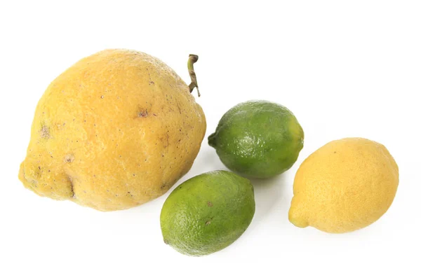 Citron Citron Ordinaire Limes Sur Fond Blanc Neutre — Photo