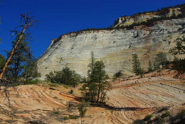 Rock Layers Trees Mountains Deep Blue Sky Zion National Park — Stock Photo, Image