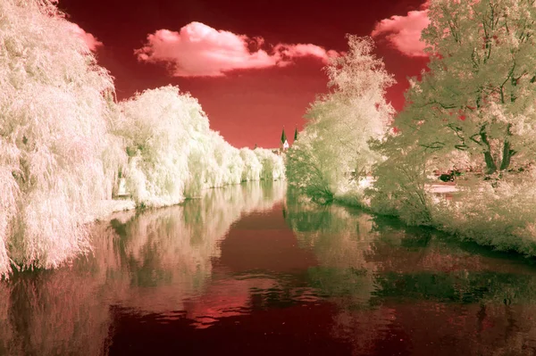 Flores Cerezo Rosa Con Reflejo Agua Lago — Foto de Stock