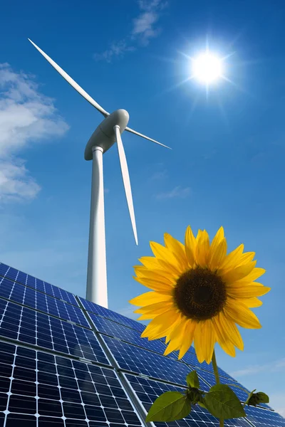 Solarmodule Windkraftanlage Und Sonnenblume Vor Sonnigem Himmel — Stockfoto