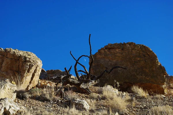 Πλαισιωμένο Φεγγάρι Capitol Reef Εθνικό Πάρκο Utah — Φωτογραφία Αρχείου