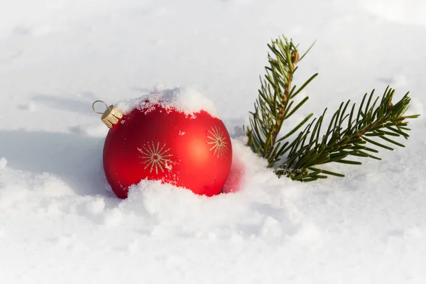 Röd Jul Boll Symbol Med Tall Gren Snön — Stockfoto