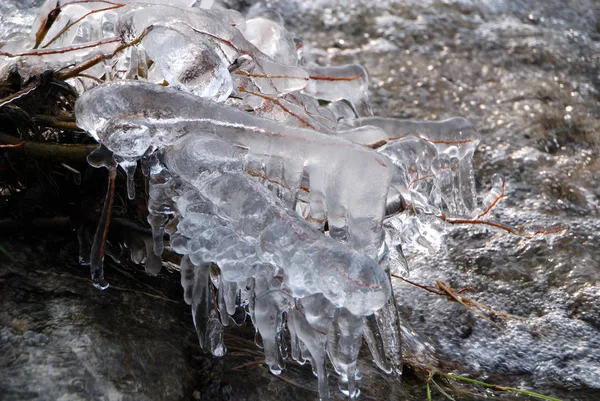 Gefrierende Äste Frost Und Eis — Stockfoto