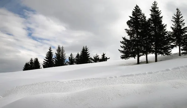 Ross Field Nrossfeld Ski Resort Berchtesgaden Oberau — Stockfoto
