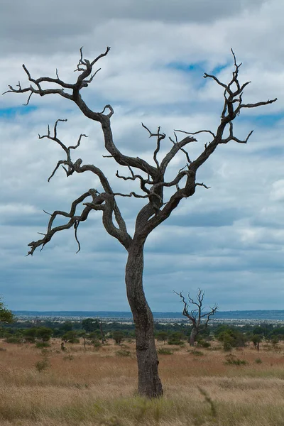 Schilderachtig Uitzicht Het Natuurlandschap — Stockfoto