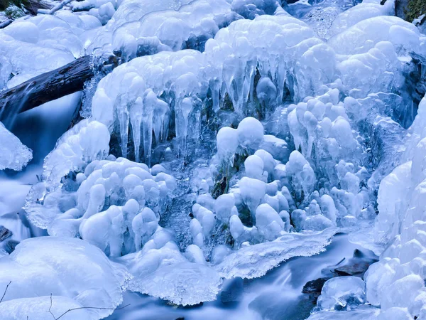 Donmuş Derede Buzlu Bitkiler — Stok fotoğraf
