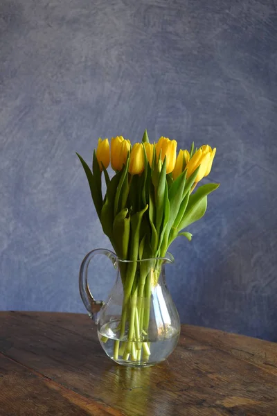 Kvetoucí Jarní Tulipány Květiny — Stock fotografie