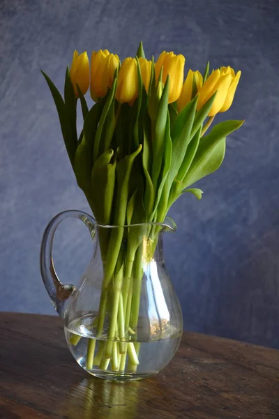 Hermosa Vista Las Flores Tulipán Naturales —  Fotos de Stock
