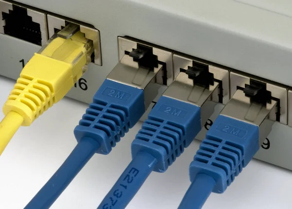 Netzwerkkabel Rechenzentrum Nahaufnahme Des Ethernet Kabels — Stockfoto