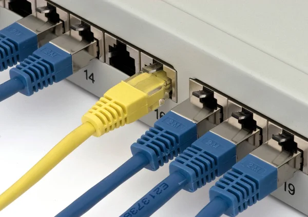 Câble Réseau Connecté Internet — Photo