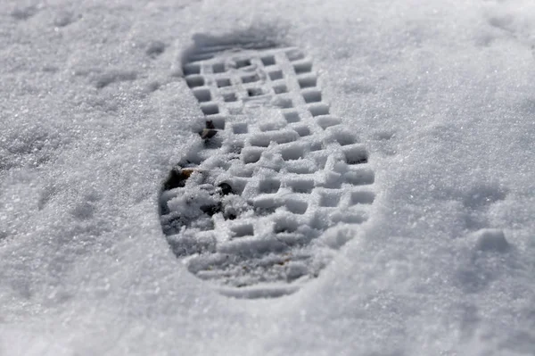 Snow Ground — Stock Photo, Image