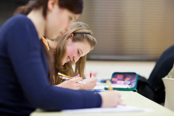 Bonito Estudante Universitário Feminino Sentado Uma Sala Aula Cheia Estudantes — Fotografia de Stock