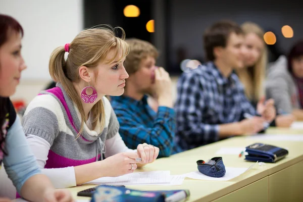 College Student Zit Een Klaslokaal Oppervlakkige Dof — Stockfoto