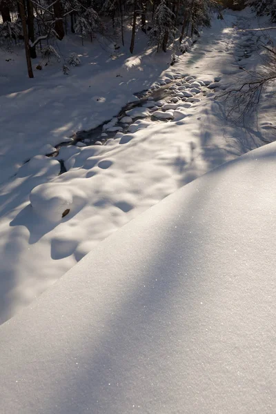 Floresta Inverno Com Árvores Madeira Coberta Neve — Fotografia de Stock