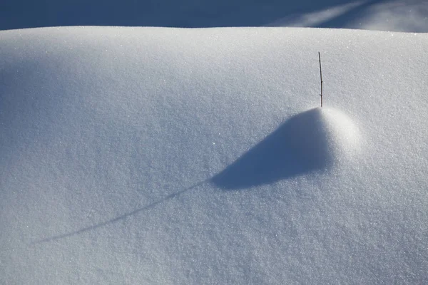 Imagem Campo Neve Com Sombra Fundição Plantas — Fotografia de Stock