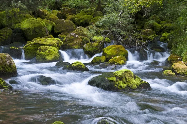 Bela Cachoeira Fundo Natureza — Fotografia de Stock