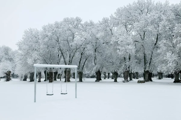 雪に覆われた森林の冬の風景 — ストック写真