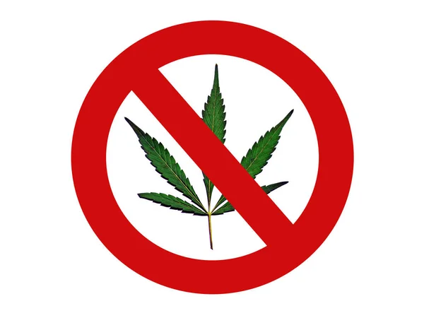 Vektorillustration Einer Cannabis Ikone — Stockfoto