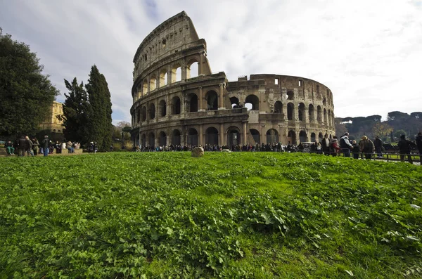 Rom Italien Colosseum Sommeren - Stock-foto