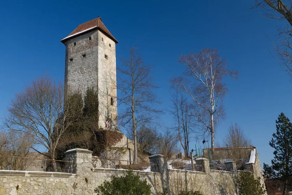 Malowniczy Widok Majestatycznej Średniowiecznej Architektury Zamku — Zdjęcie stockowe