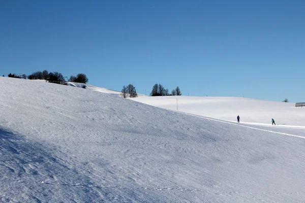 Лыжные Гонки Баварии Красивым Солнцем — стоковое фото