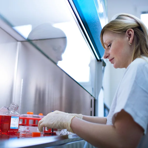 Portrait Female Researcher Doing Research Lab Color Toned Image Stock Picture