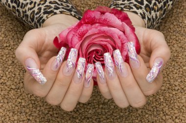closeup of female hands with manicure clipart