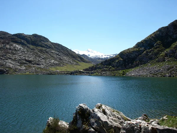 Vacker Utsikt Över Naturen — Stockfoto