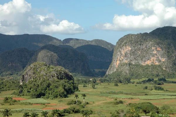 Valle Vinales Pinar Del Rio Küba — Stok fotoğraf