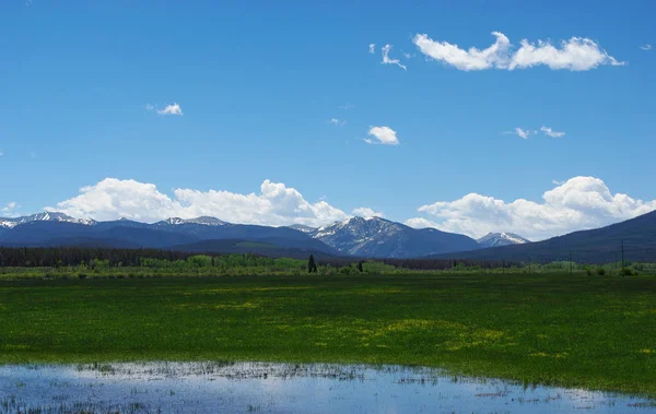 Vijver Groene Weiden Montana Rotspartijen — Stockfoto