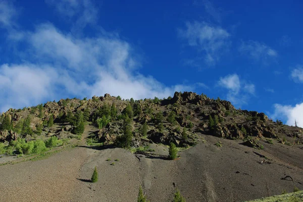 Bäume Felsen Und Berge Hochtal Lachs Challis Nationalwald Idaho — Stockfoto