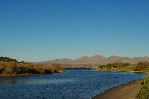Río Que Entra Lago Havasu Arizona —  Fotos de Stock