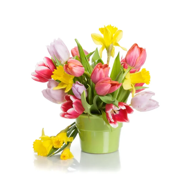 Blumentopf Mit Tulpen Und Narzissen Auf Weißem Hintergrund — Stockfoto