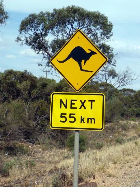 Señal Advertencia Contra Kangaroos Australia — Foto de Stock