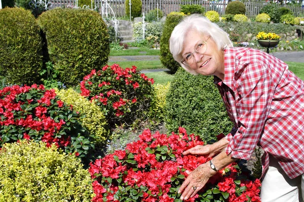 senior woman in garden with flowers