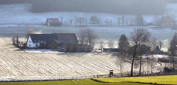 Pittoresca Vista Sul Paesaggio Invernale Innevato — Foto Stock