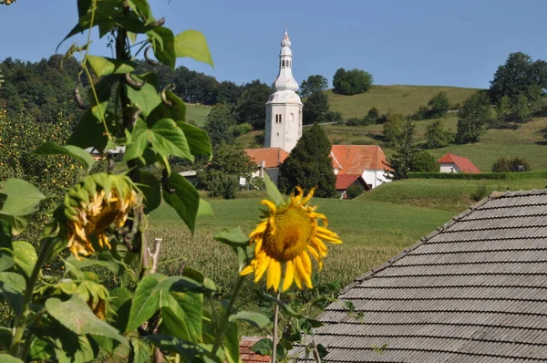 Naturskön Över Kyrka Och Arkitektur Detaljer — Stockfoto