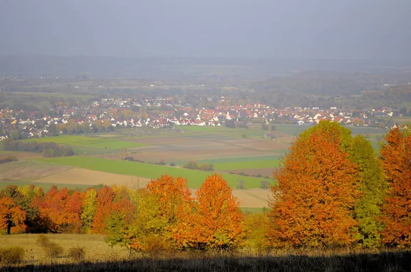 Landscape Swabian Alb Bissingen Fog Landscape Orchard Autumn — Stockfoto