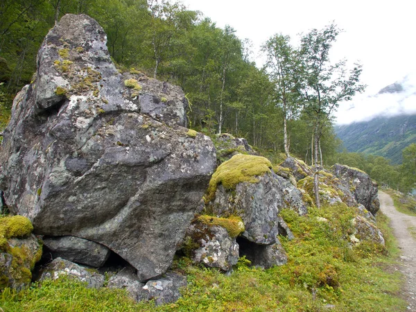 Norwegia Tle Krajobrazu — Zdjęcie stockowe