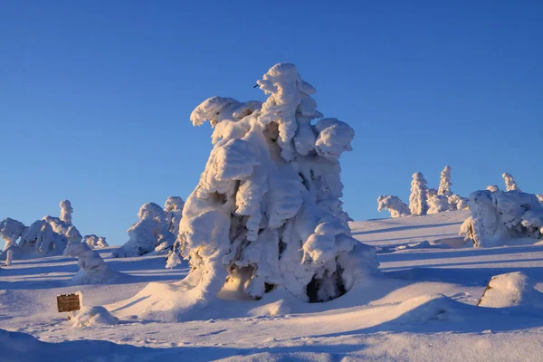 Sunrise Brocken — Stock Photo, Image