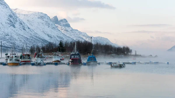 Havn Tåken – stockfoto