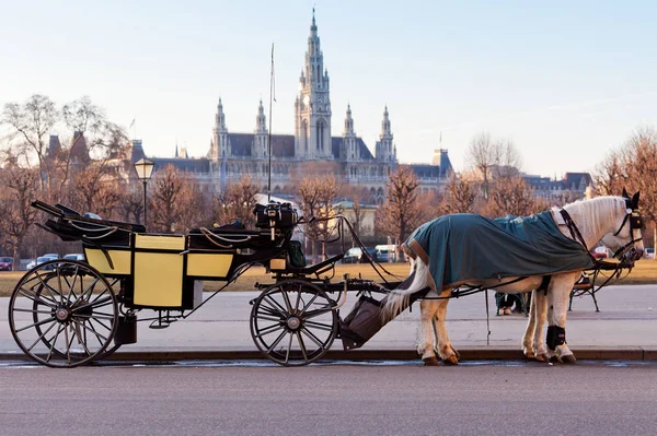 fiaker in vienna,traditional transport with a coach
