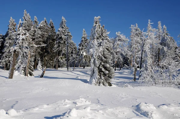 Inverno Nell Harz — Foto Stock