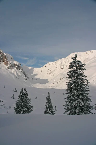 Vinterlandskap Vid Tre Tornen Montofon Austrien — Stockfoto