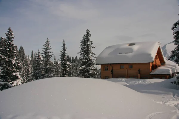 Alpesi Kunyhók Télen Montafon Ausztria — Stock Fotó